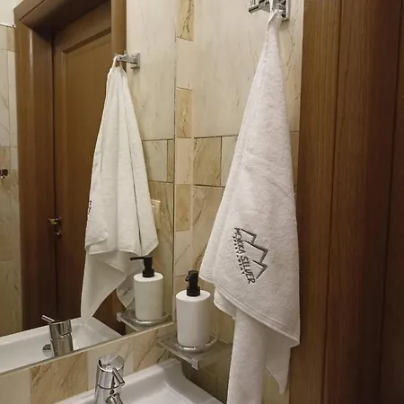 Mokka Silver Spa&ski Viva Maria